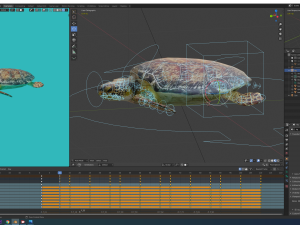 sea turtle 3D मॉडल