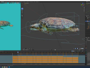 sea turtle 3D Model