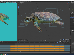 sea turtle 3D मॉडल