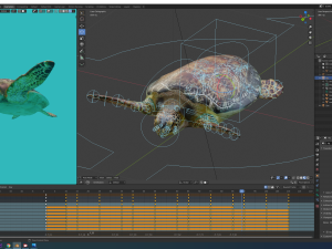 sea turtle 3D मॉडल