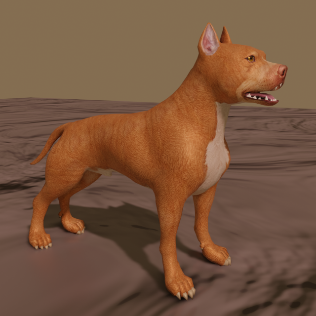 pitt bull 3D मॉडल .c4d .max .obj .3ds .fbx .stl .blend 