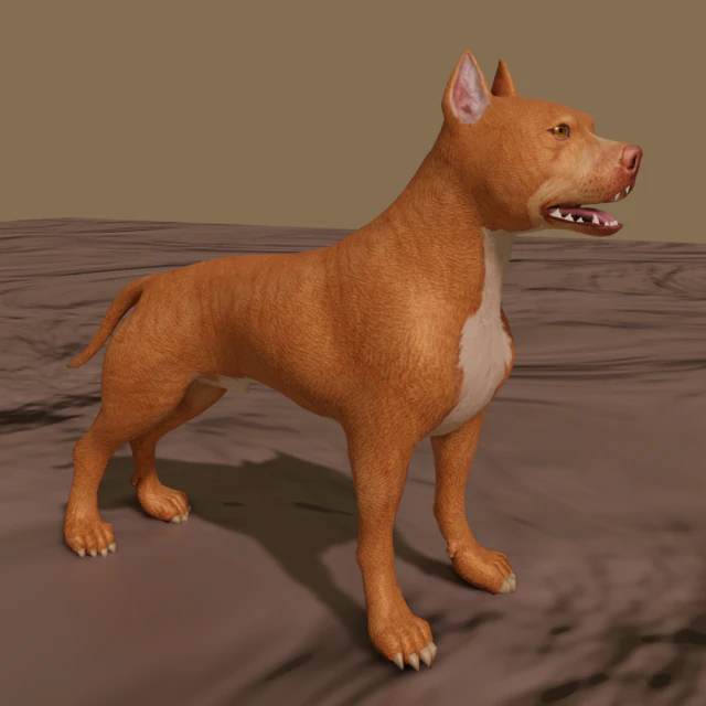 pitt bull 3D Model .c4d .max .obj .3ds .fbx .stl .blend