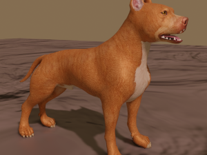 pitt bull Modelo 3D
