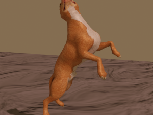 pitt bull 3D मॉडल