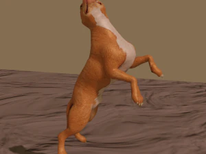 pitt bull 3D Model