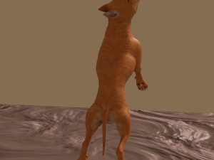 pitt bull 3D मॉडल