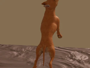 pitt bull 3D Model
