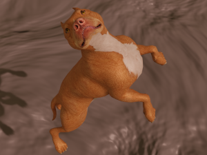 pitt bull 3D मॉडल