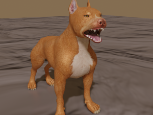 pitt bull 3D मॉडल
