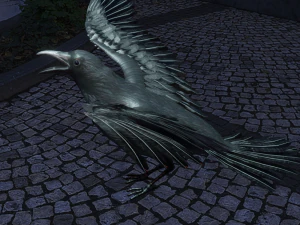 corvo voando Modelo 3D