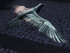 crow flying Model 3D