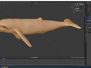 humpback whale 3Dモデル