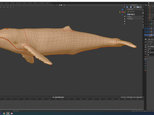 humpback whale 3Dモデル