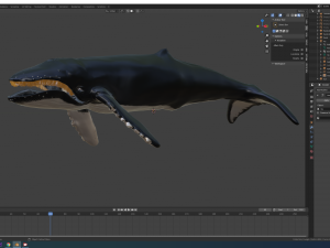 humpback whale 3Dモデル