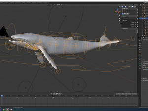 humpback whale 3Dモデル
