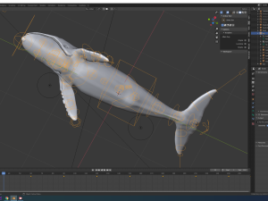 humpback whale 3Dモデル