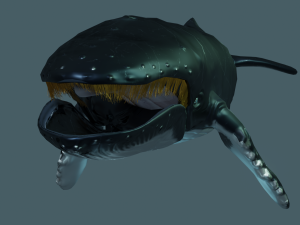 humpback whale 3Dモデル