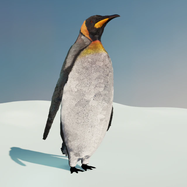 emperor penguin 3D Model .c4d .max .obj .3ds .fbx .stl .blend 