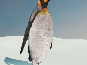 emperor penguin 3D Model