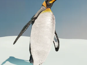 emperor penguin 3D Model