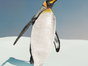emperor penguin Modelo 3D