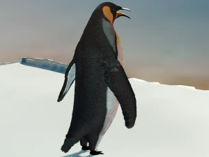 emperor penguin 3D Model