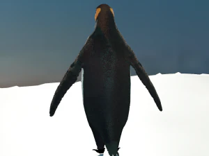 emperor penguin 3D Model