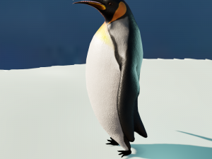 emperor penguin Modelo 3D