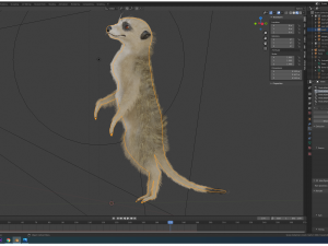 meerkat Modello 3D