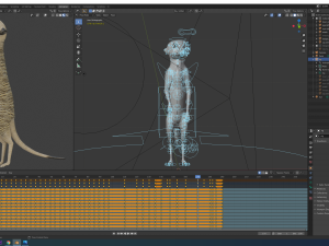 meerkat Modello 3D
