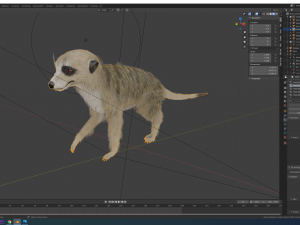 meerkat Modello 3D