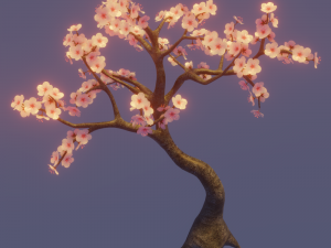 cherry tree 3D Model