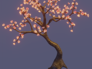 cherry tree 3D-Modell