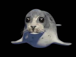 Robbentier 3D Modell