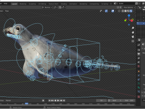seal animal Modelo 3D