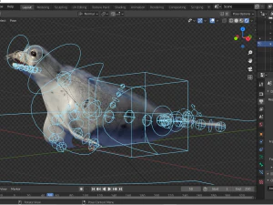 Robbentier 3D Modell