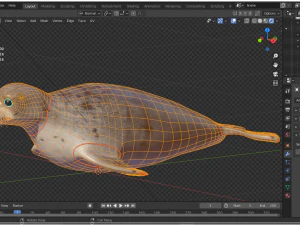 Robbentier 3D Modell