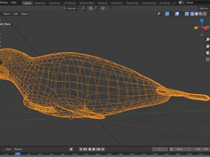 Robbentier 3D Modell