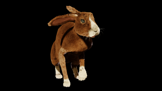 Rabbit 3D Model .c4d .max .obj .3ds .fbx .stl .blend 