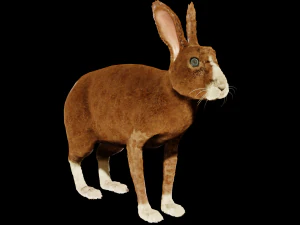 Rabbit 3D Model