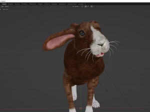 Rabbit 3D Model