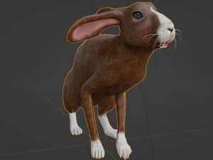 Rabbit 3D Model