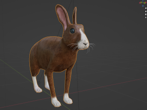 Rabbit 3D Model