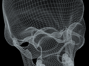 human skull 3D Модель
