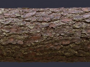 wood and bricks CG Textures