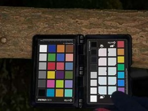wood and bricks CG Textures