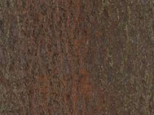 wood and bricks CG Textures