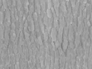 wood and bricks CG Textures
