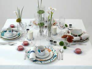 tableware 1 Model 3D