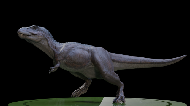 3dtirano 3D Model .c4d .max .obj .3ds .fbx .stl .blend 